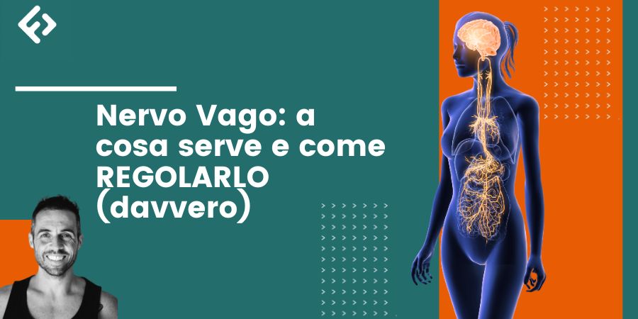 Nervo Vago: a cosa serve (davvero) e come regolarlo