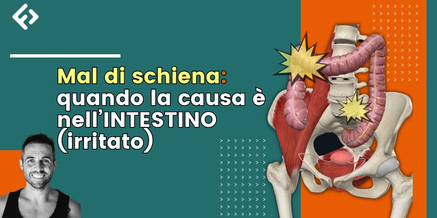Mal di schiena: quando la causa è nell'intestino (irritato)