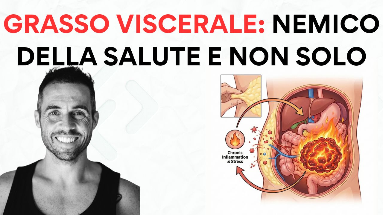 GRASSO ADDOMINALE: non è solo una questione di calorie, ma di INFIAMMAZIONE