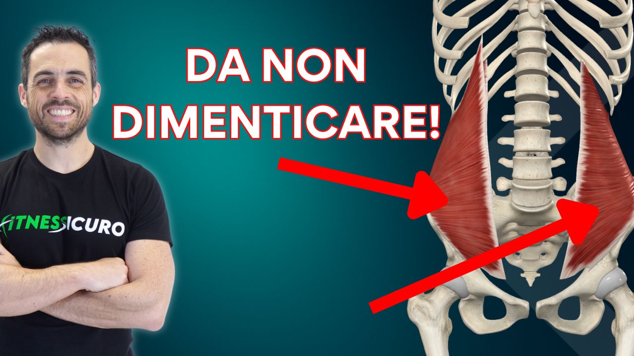 Gli ADDOMINALI che NESSUNO allena (ma fanno la differenza)