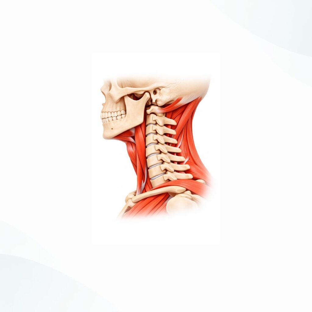 Cervicale a nuovo in 30 giorni