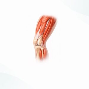 Quadricipite Forte e Ginocchio Sano