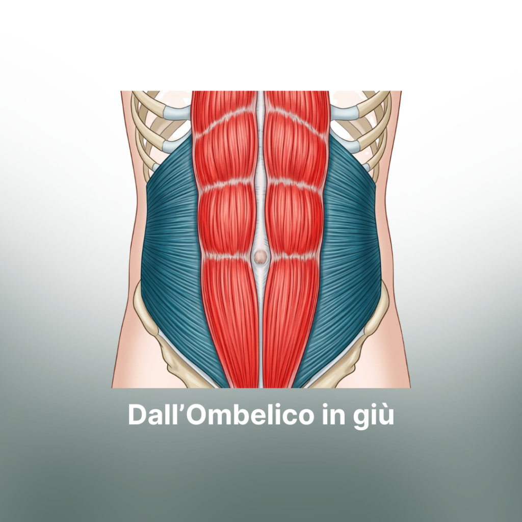 Dall'Ombelico in Giù