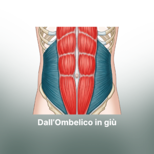 Dall'Ombelico in Giù