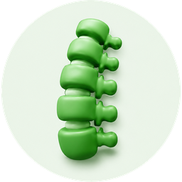 Colonna che riprende il movimento